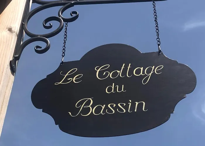 Vip Du Bassin